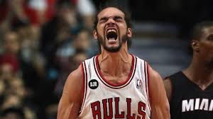 Joakim Noah, Bulls center, suffered a right ankle sprain in his team’s 105-99 defeat to the Wizards